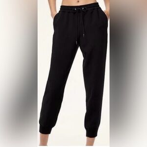 Wilfred dressy joggers from Aritzia